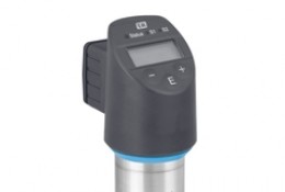 Absolute and gauge pressure Ceraphant PTP33B